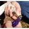 Show in main carousel: Resco Original Dog Nail Clippers, Large, Candy Purple slide 3 of 5