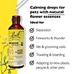 Show in main carousel: Rescue Remedy Stress Relief Pet Supplement, 20-mL bottle slide 2 of 8