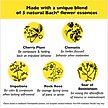 Show in main carousel: Rescue Remedy Stress Relief Pet Supplement, 20-mL bottle slide 5 of 8