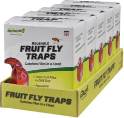 Rescue! Traps Fruit Fly Insect Control