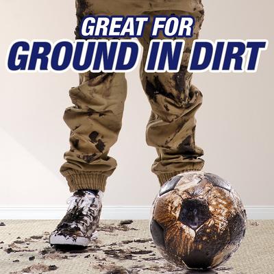 Show full view: Resolve Urine Destroyer Stain & Odor Remover, 32-fl oz bottle slide 4 of 7