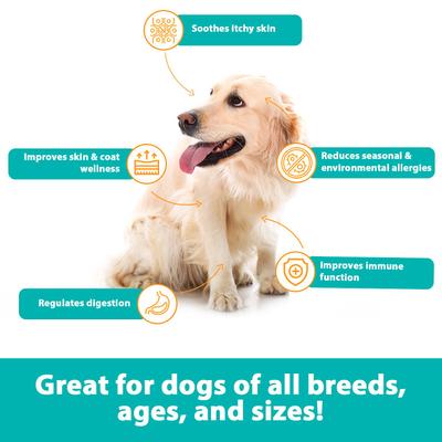 Show full view: RestoraPet Allergy, Itch & Immune Support Soft Chews Dog Supplement, 60 count slide 5 of 8