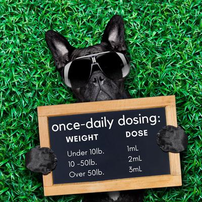 Show full view: RestoraPet Daily Supplement Organic Bacon Flavor Dog & Cat Supplement, 2-fl oz bottle slide 9 of 10