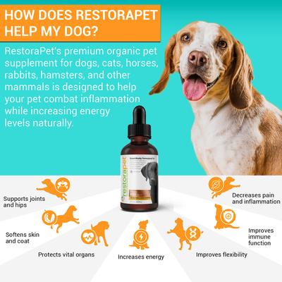 Show full view: RestoraPet Daily Supplement Organic Beef Flavor Dog & Cat Supplement, 2-fl oz bottle slide 7 of 9