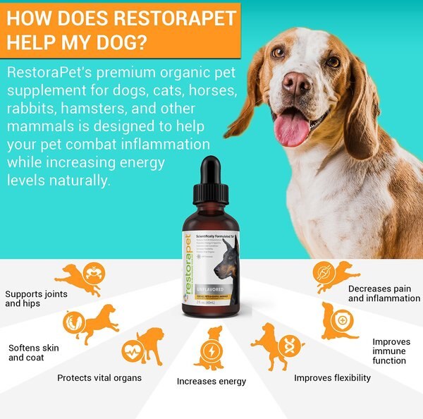 RestoraPet Daily Supplement Unflavored Dog & Cat Supplement, 2-fl oz bottle