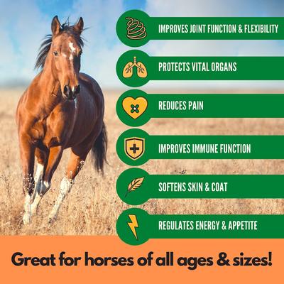 Show full view: RestoraPet Equine Formula Apple-Carrot Flavor Horse Supplement, 8-fl oz bottle slide 5 of 7