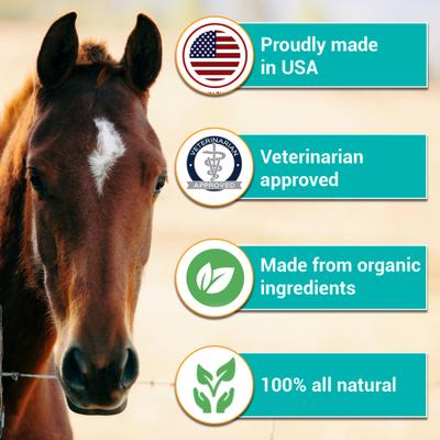 Show full view: RestoraPet Equine Formula Apple-Carrot Flavor Horse Supplement, 8-fl oz bottle slide 6 of 7