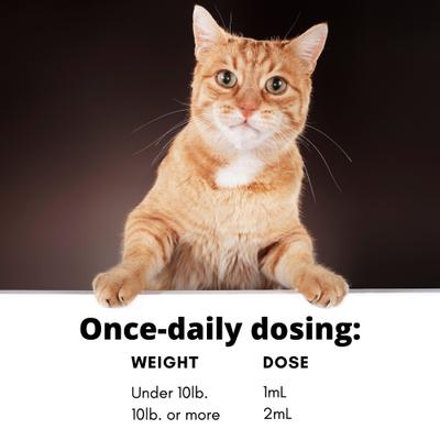 Show full view: RestoraPet Feline Formula Organic Tuna Flavor Cat Supplement, 2-fl oz bottle slide 9 of 9