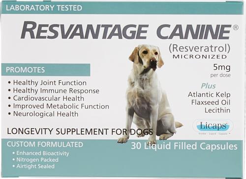 Show full view: Resvantage Canine Longevity Dog Supplement, 30 count slide 1 of 4