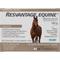 Show in main carousel: Resvantage Equine Daily Maintenance Comprehensive Capsule Horse Supplement, 60 count slide 1 of 3