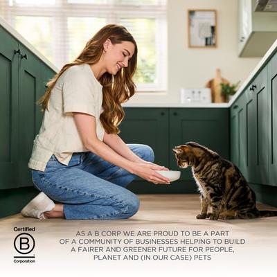 Show full view: Reveal Natural Complete & Balanced Grain-Free Chicken Recipe Dry Cat Food, 3-lb bag slide 9 of 11