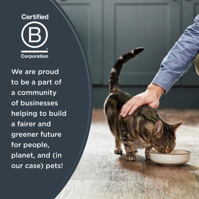 Show full view: Reveal Natural Complete & Balanced Grain-Free Chicken Recipe Dry Cat Food, 3-lb bag slide 8 of 11