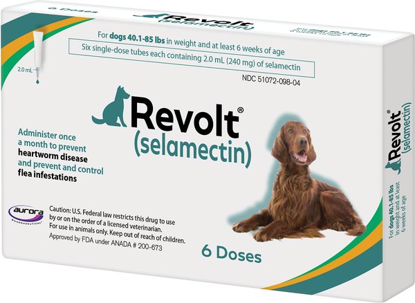 Show full view: Revolt Topical Solution for Dogs, 40.1-85 lbs, (Teal Box), 6 Doses (6-mos. supply) slide 1 of 8