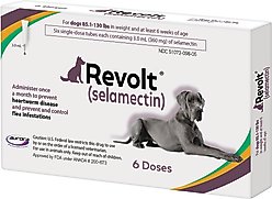Revolt Topical Solution for Dogs, 85.1-130 lbs, (Plum Box), 6 Doses (6-mos. supply)