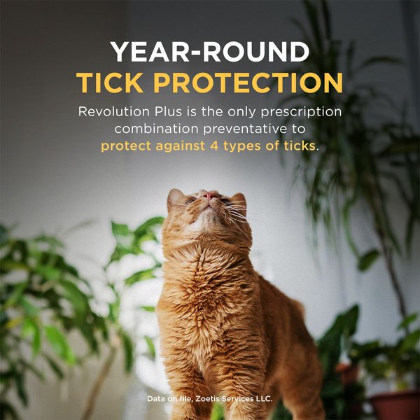 Revolution Plus Topical Solution for Cats, 2.8-5.5 lbs, (Gold Box)