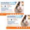 Show in main carousel: Revolution Plus Topical Solution for Cats, 5.6-11 lbs, (Orange Box), 12 Doses (12-mos. supply) slide 1 of 12