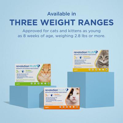 Show full view: Revolution Plus Topical Solution for Cats, 5.6-11 lbs, (Orange Box), 3 Doses (3-mos. supply) slide 9 of 12
