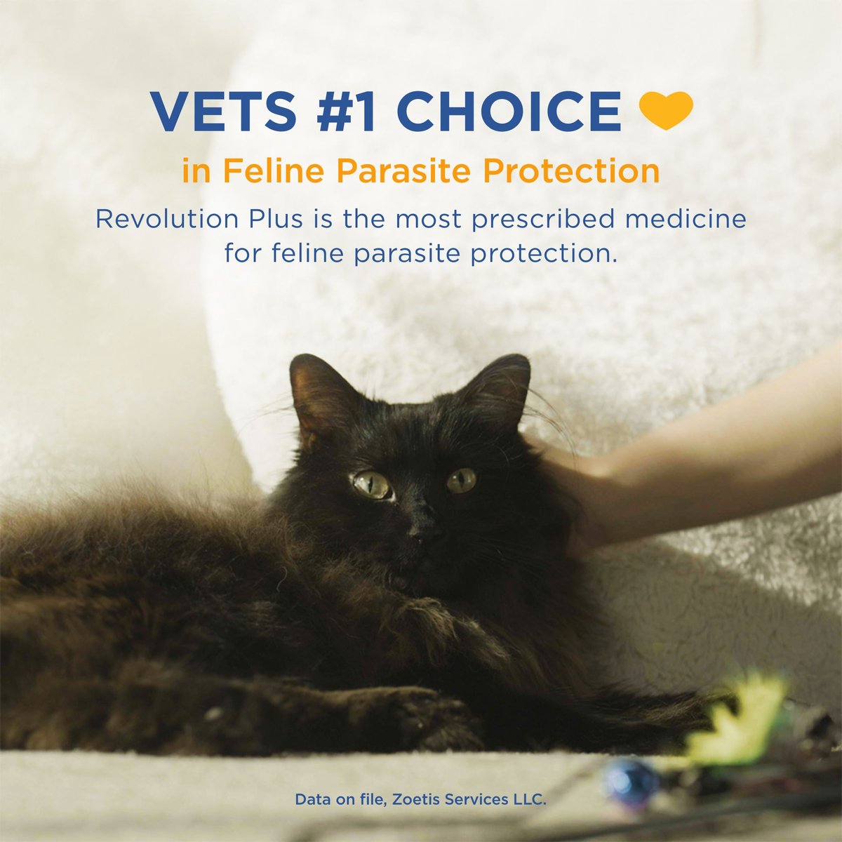 REVOLUTION PLUS Topical Solution for Cats, 5.611 lbs, (Orange Box