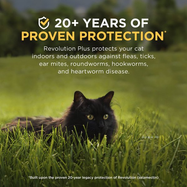 Show full view: Revolution Plus Topical Solution for Cats, 5.6-11 lbs, (Orange Box), 6 Doses (6-mos. supply) slide 8 of 12