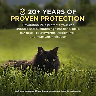 Revolution Plus Topical Solution for Cats, 5.6-11 lbs, (Orange Box), 6 Doses (6-mos. supply) slide 8 of 9