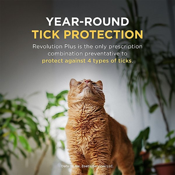 Revolution Plus Topical Solution for Cats, 5.6-11 lbs, (Orange Box)