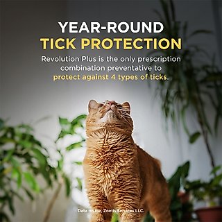 Revolution Plus Topical Solution for Cats, 5.6-11 lbs, (Orange Box), 6 Doses (6-mos. supply) slide 6 of 9