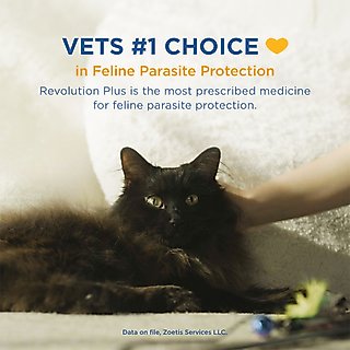 Revolution Plus Topical Solution for Cats, 5.6-11 lbs, (Orange Box), 6 Doses (6-mos. supply) slide 5 of 9