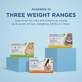 Revolution Plus Topical Solution for Cats, 5.6-11 lbs, (Orange Box), 6 Doses (6-mos. supply) slide 9 of 9