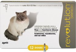 Revolution Topical Solution for Cats, 15.1-22 lbs, (Taupe Box), 12 Doses (12-mos. supply)