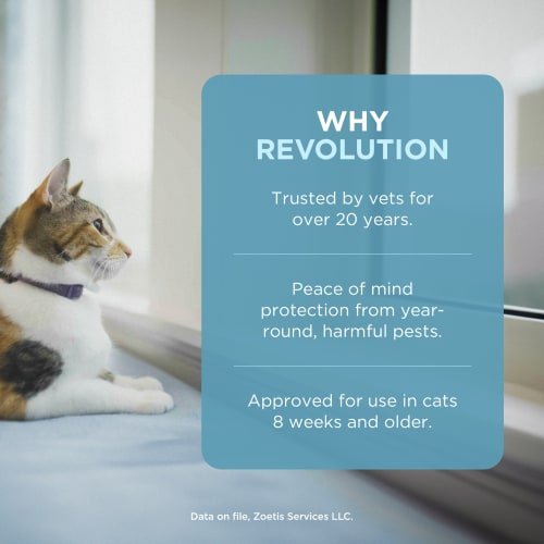 Show full view: Revolution Topical Solution for Cats, 5.1-15 lbs, (Blue Box), 6 Doses (6-mos. supply) slide 4 of 11