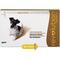 Show in main carousel: Revolution Topical Solution for Dogs, 10.1-20 lbs, (Brown Box), 12 Doses (12-mos. supply) slide 1 of 11