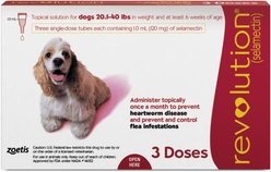 Revolution Topical Solution for Dogs, 20.1-40 lbs, (Red Box), 3 Doses (3-mos. supply)
