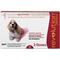 Show in main carousel: Revolution Topical Solution for Dogs, 20.1-40 lbs, (Red Box), 3 Doses (3-mos. supply) slide 1 of 11