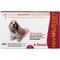 Show in main carousel: Revolution Topical Solution for Dogs, 20.1-40 lbs, (Red Box), 6 Doses (6-mos. supply) slide 1 of 11