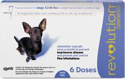 Revolution Topical Solution for Dogs, 5.1-10 lbs, (Purple Box), 6 Doses (6-mos. supply)