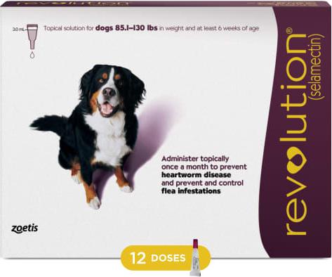 REVOLUTION Topical Solution for Dogs, lbs, (Plum Box