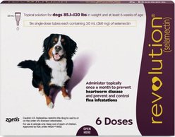 Revolution Topical Solution for Dogs, 85.1-130 lbs, (Plum Box), 6 Doses (6-mos. supply)