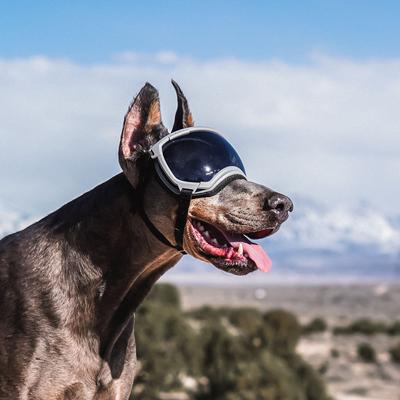 Show full view: Rex Specs V2 Dog Goggles, Gallatin Grey, X-Large slide 3 of 5