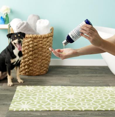 Show full view: Richard's Organics Anti-Bacterial Shampoo, 12-fl oz bottle slide 5 of 13