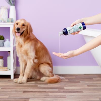 Show full view: Richard's Organics Moisturizing Shampoo, 12-fl oz bottle slide 5 of 11