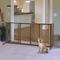 Show in main carousel: Richell Deluxe Freestanding Gate with Door for Dogs & Cats, Medium slide 1 of 9