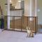 Show in main carousel: Richell Deluxe Freestanding Gate with Door for Dogs & Cats, Medium slide 7 of 9