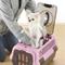 Show in main carousel: Richell Double Door Cat & Dog Carrier, Pink/Brown, Medium  slide 3 of 4