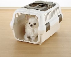 Richell Double Door Cat & Dog Carrier, White/Beige, Small slide 2 of 3