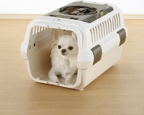 Show full view: Richell Double Door Cat & Dog Carrier, White/Beige, Small slide 2 of 3