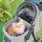 Show in main carousel: Richell Easy Collapsible Jogging Dog & Cat Stroller, Gray slide 9 of 10