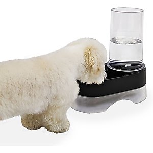 Richell Elevated Gravity Water Dispenser Dog & Cat Bowl, Black, 1-gal