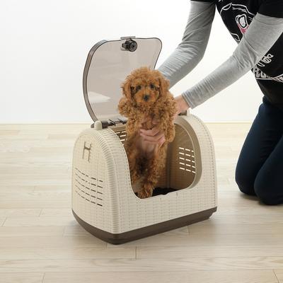 Show full view: Richell Faux Wicker Dog & Cat Carrier, Ivory slide 2 of 8