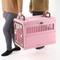 Show in main carousel: Richell Foldable Dog & Cat Carrier, Soft Pink & Brown, Medium slide 3 of 9
