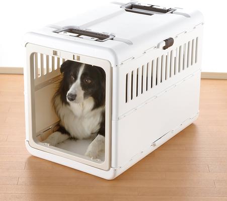Show full view: Richell Foldable Dog & Cat Carrier, White & Beige, Medium slide 3 of 8